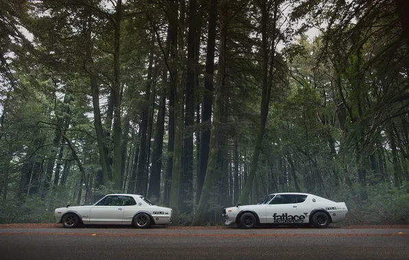 Picture road, forest, nissan, fatlaceskylines