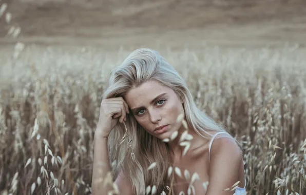 BLONDE, LOOK, GRASS, FIELD, MOOD, FACE, Allison Holton