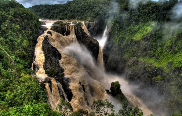 Picture trees, fog, river, waterfall