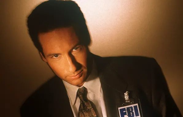 Picture the series, The X-Files, Classified material, Mulder