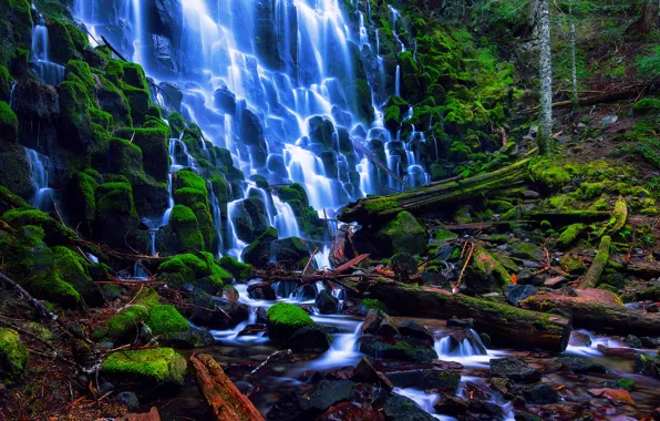 Forest, summer, branches, stones, waterfall, moss, Oregon, USA