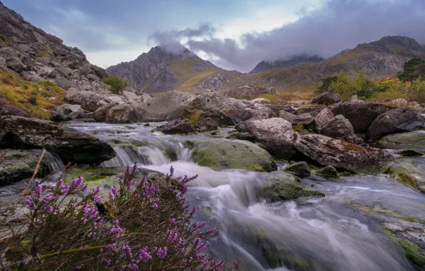 Mountains, river, stones, England, England, Wales, Wales, Heather