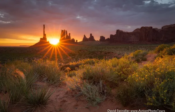 Picture the sun, rays, light, rocks, desert, USA, the bushes