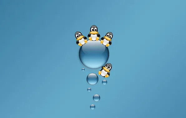Picture blue, Minimalism, penguins