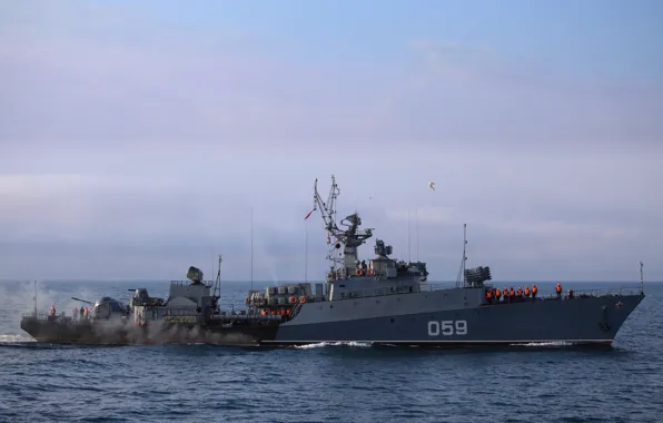 Ship, anti-submarine, small, The Black Sea Fleet, &quot;Albatross&quot;, MPK, &quot;Alexandrowicz&quot;