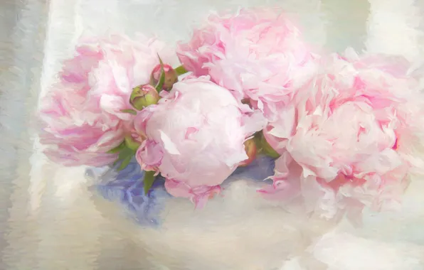 Flowers, background, figure, bouquet, light, petals, art, pink