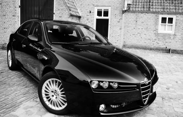 Black, Alfa Romeo, Italian, on the pavement