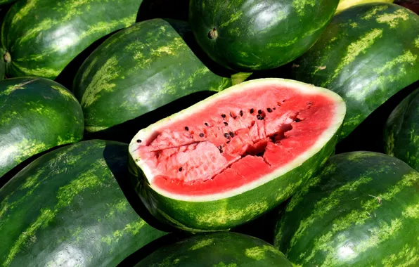 Wallpaper halves, a lot, watermelon, harvest, cut