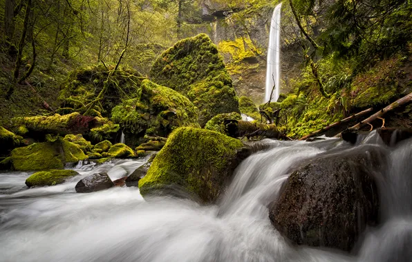 Picture forest, stones, waterfall, moss, Oregon, Columbia River Gorge, Elowah Falls