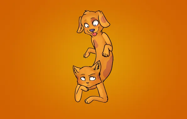 Orange, background, cat and dog, CatDog, Kotopes