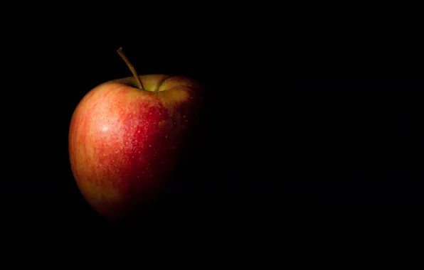 Apple, food, fruit