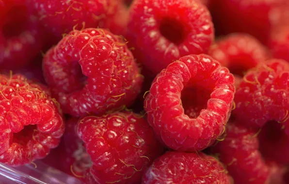Macro, berries, raspberry, blur, harvest, blur, a lot, bokeh