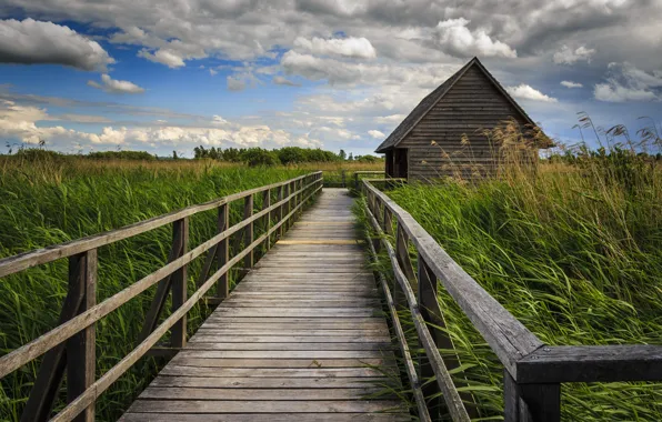 Nature, Road, House, Board, Landscape, Railings, Reed