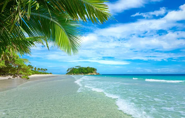 Beach, palm trees, Sea