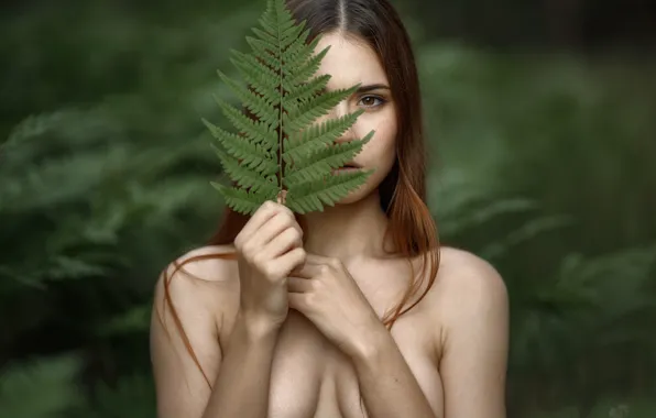 Chest, look, sexy, sprig, background, model, naked, body