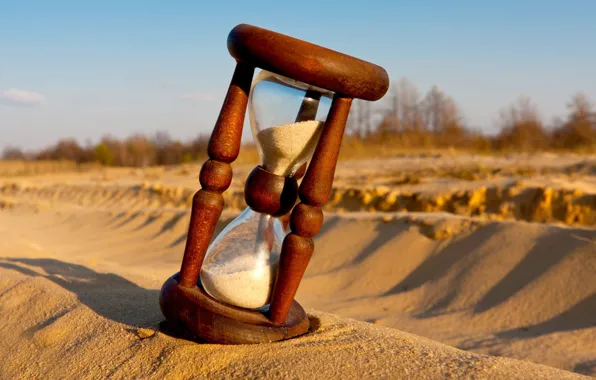 Picture sand, trees, background, mood, Wallpaper, shadow, day, wallpaper