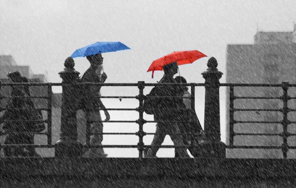 Bridge, umbrella, people, walking, raining