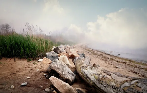 Landscape, nature, fog, lake, morning