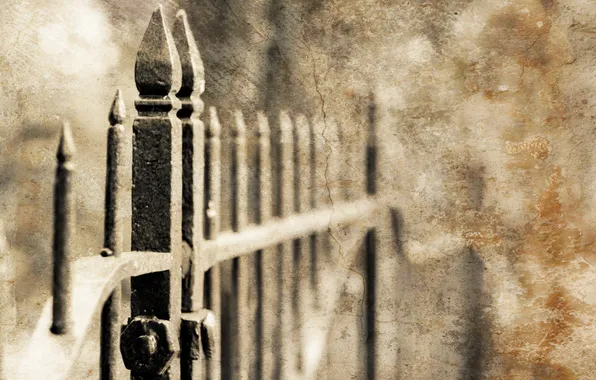 Picture macro, style, background, the fence