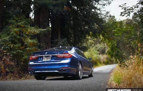 Picture road, forest, nature, BMW, ALPINA, B7 19