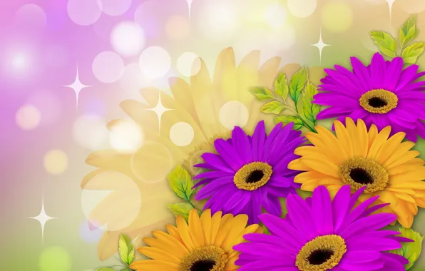 Flowers, background, yellow, purple, leaves, gerbera