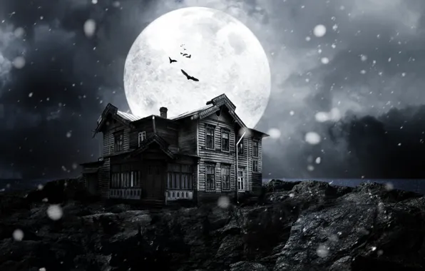 Snow, night, the moon, dark, dark, moon, horror, horror