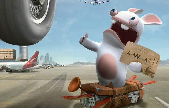 Picture rabbit, aircraft, hitchhiking, vote