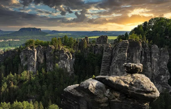 Picture forest, trees, landscape, nature, mountains, rocks