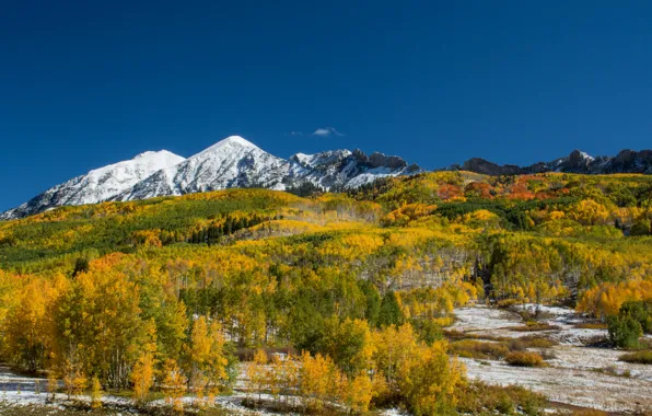 Picture autumn, forest, the sky, snow, trees, mountains, blue, yellow