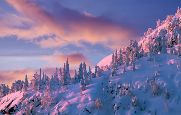 Winter, forest, clouds, light, snow, mountains, morning, ate