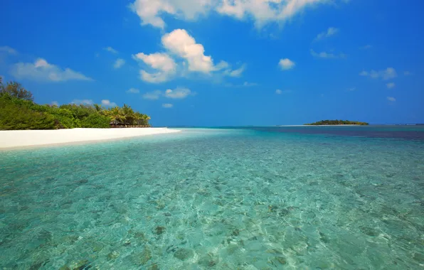Picture sea, beach, Islands, tropics, stay, The Maldives