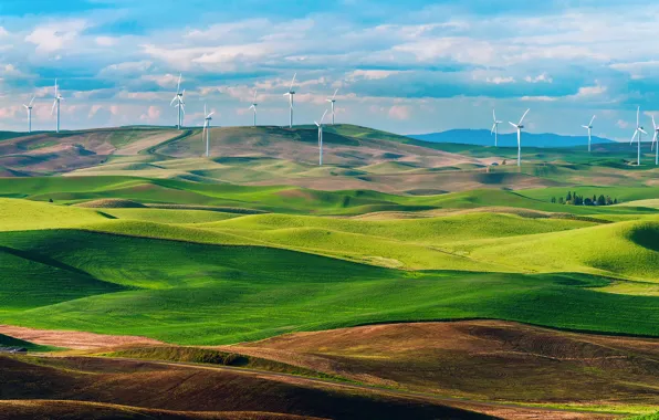 Picture field, Washington, USA, state, wind turbines, Wind turbines, wind farms
