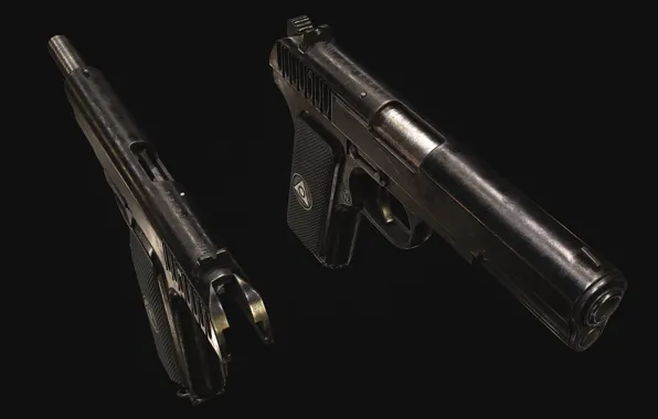Russia, Self-loading pistol, Tula Tokarev, TT-30