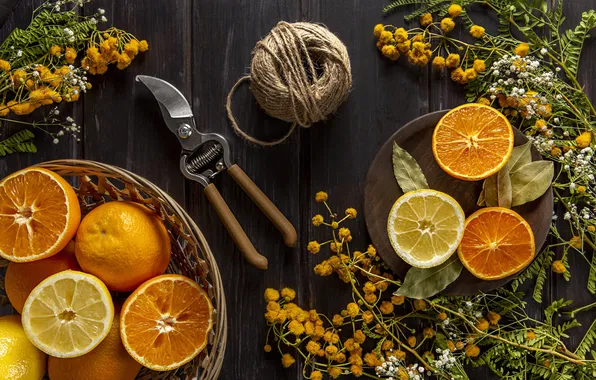 Leaves, flowers, the dark background, Board, oranges, rope, yellow, fruit