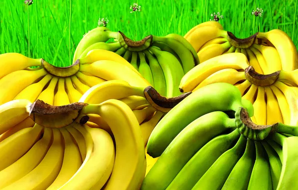 Greens, grass, yellow, green, bananas, fruit, a lot, closeup