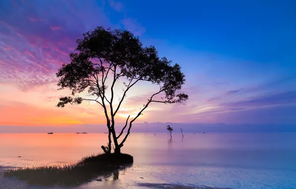 The sky, clouds, sunset, mountains, lake, tree