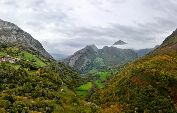 Field, autumn, forest, clouds, trees, mountains, rocks, valley