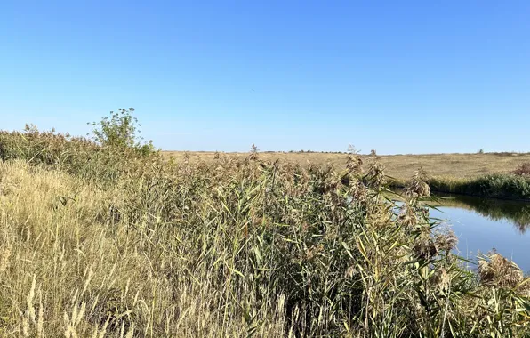 The sky, grass, river, reed