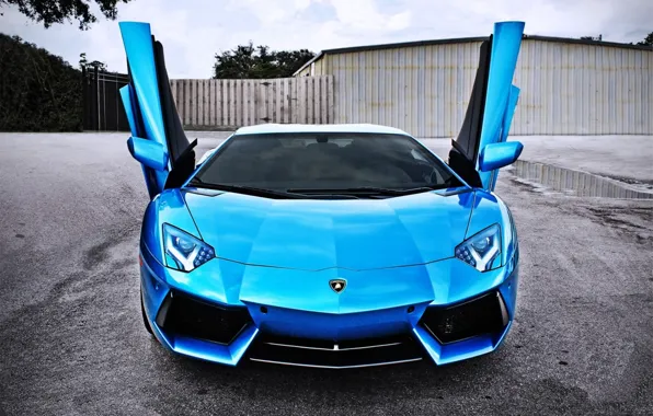 Car, up, Lamborghini, door, blue, LP700-4, Aventador, door