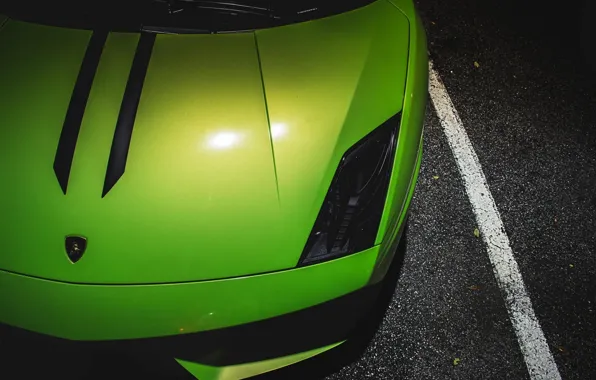 Picture Lamborghini, Light, Superleggera, Gallardo, Green, LP570-4, Supercar, Hood