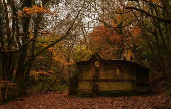 Autumn, forest, leaves, trees, branches, Park, castle, mood