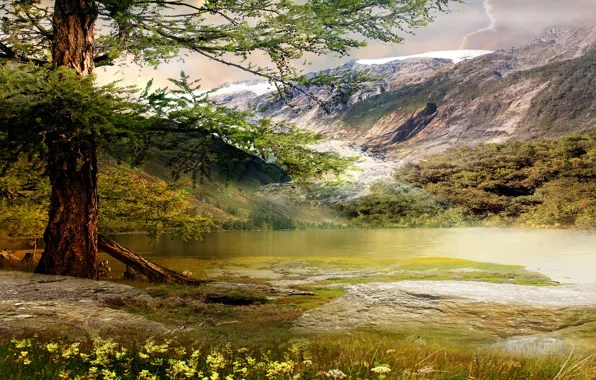 Flowers, mountains, nature, lake, tree