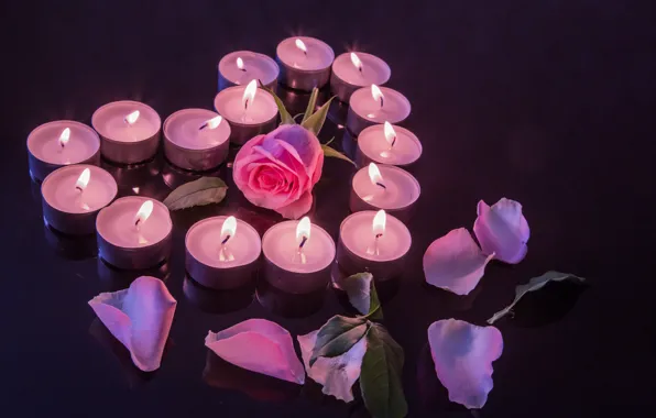 Picture flower, leaves, rose, candles, petals