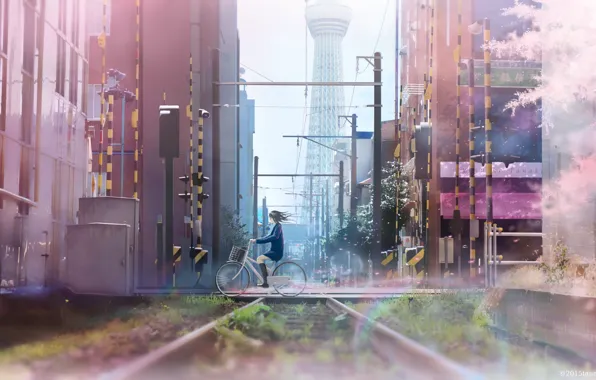 Girl, bike, the city, wire, home, anime, Sakura, art