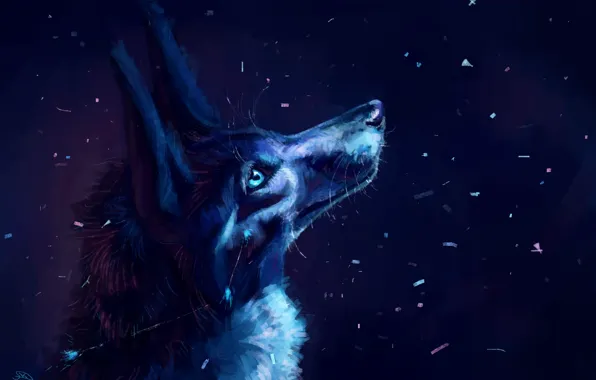 Snow, night, wolf, by AlaxendrA