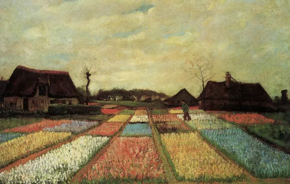 Picture Vincent van Gogh, Early paintings, plantation flowers, Bulb Fields