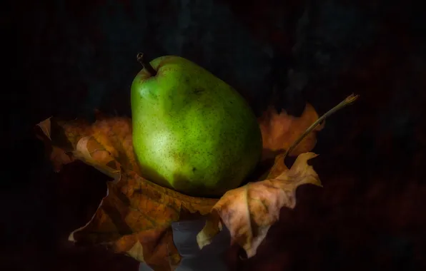 Autumn, leaves, pear, still life