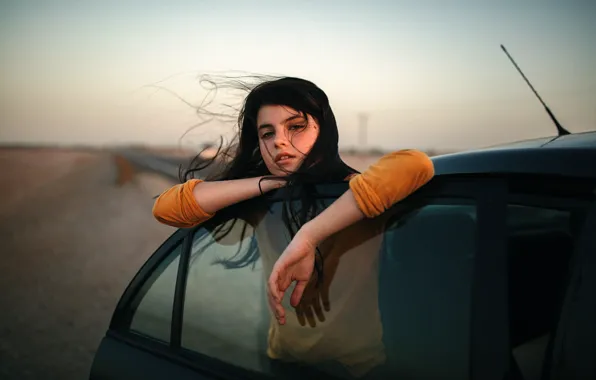 Picture auto, the wind, sponge, teeth, Jesse Duke, Raluca
