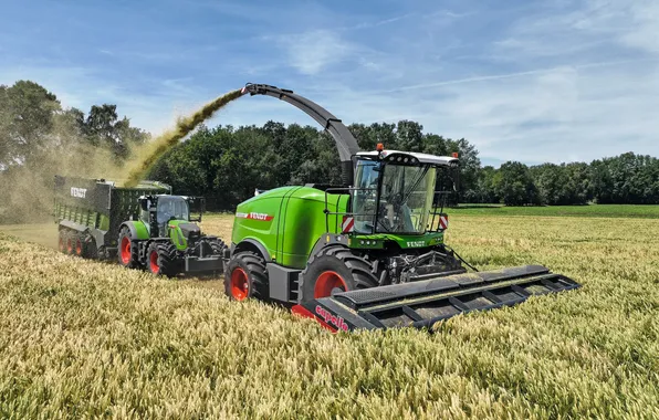 Field, tractor, harvester, harvesting, Fendt