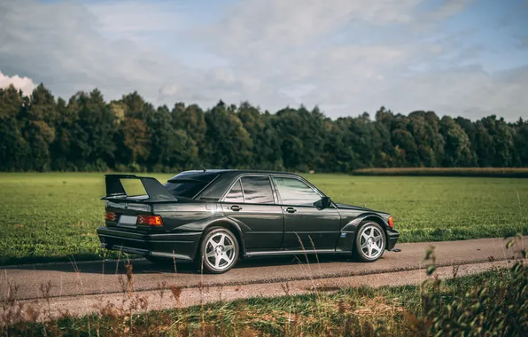 Picture Mercedes-Benz, Mercedes, 1990, 190, Mercedes-Benz 190 E 2.5-16 Evolution II